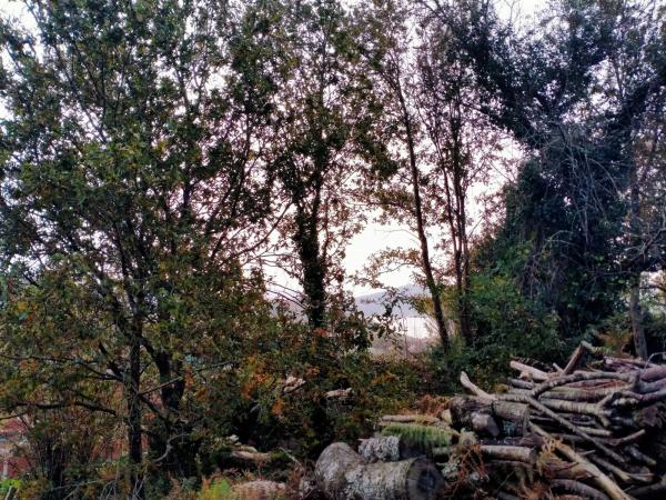 Terreno en Bouza, 110