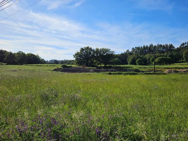 Terreno en Lugar Chan