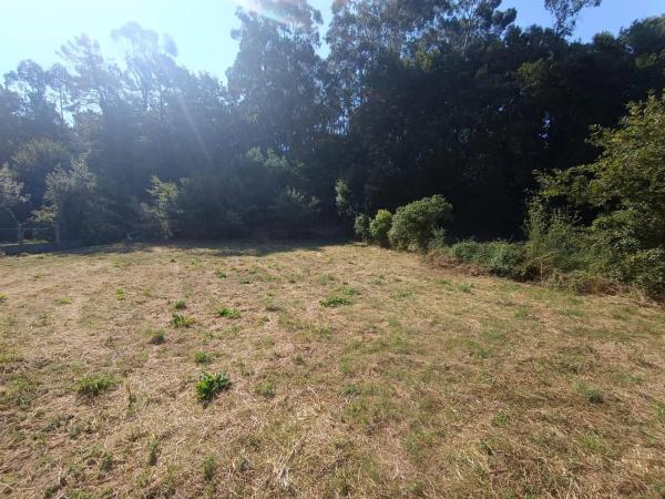 Terreno en Po-233, 29 -42