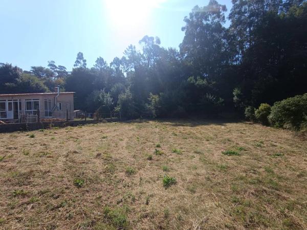 Terreno en Po-233, 29 -42