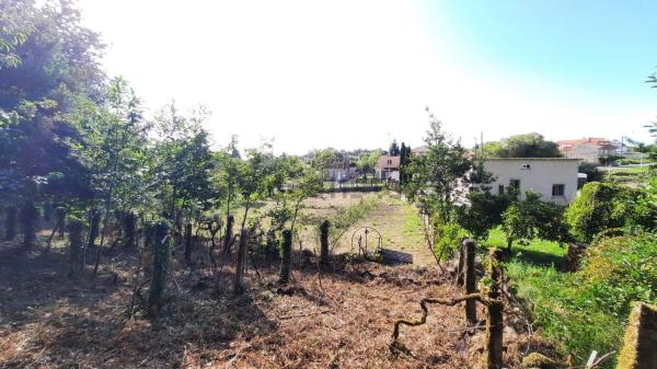 Terreno en Po-233, 29 -42