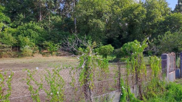 Terreno en Po-233, 29 -42