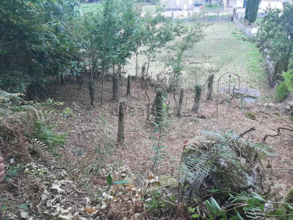 Terreno en Po-233, 29 -42