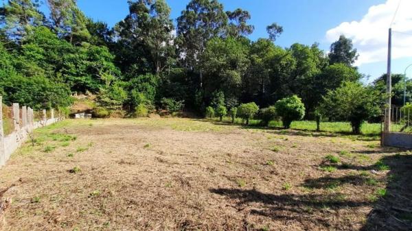 Terreno en Po-233, 29 -42