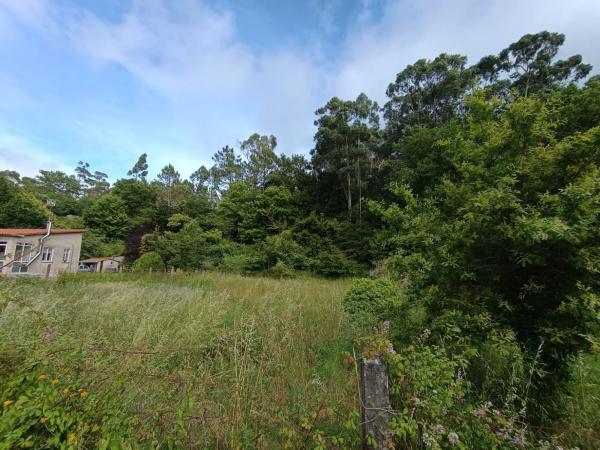 Terreno en Po-233, 29 -42