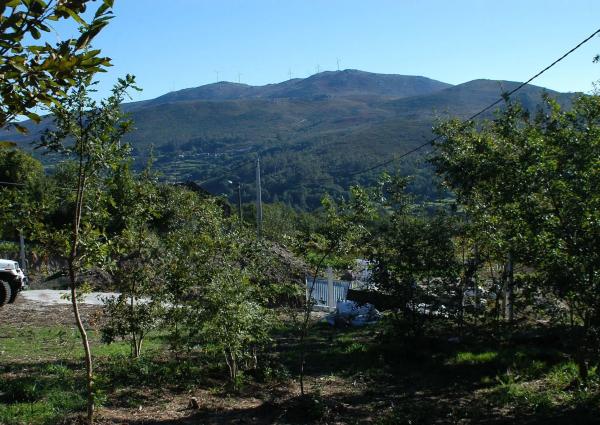 Terreno en Lugar Cerraxe, 83