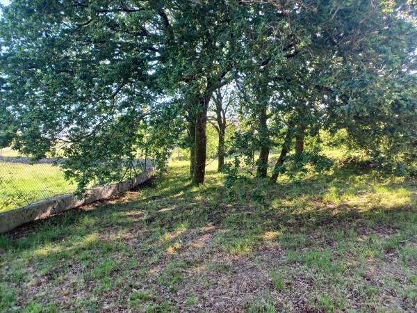 Terreno en Avecil s/n