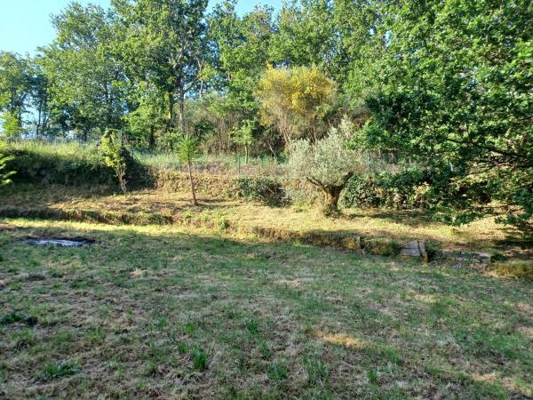 Terreno en Avecil s/n