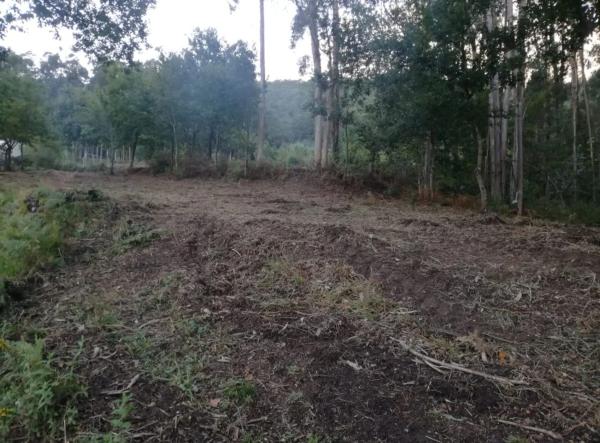 Terreno en Lugar a Granxa, 16