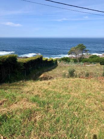 Terreno en carretera de Baiona a La Guardia, km 168