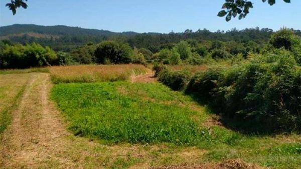 Terreno en camino Lugar Rias s/n None