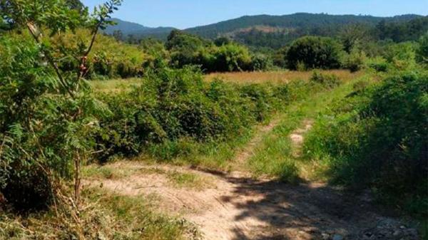 Terreno en camino Lugar Rias s/n None