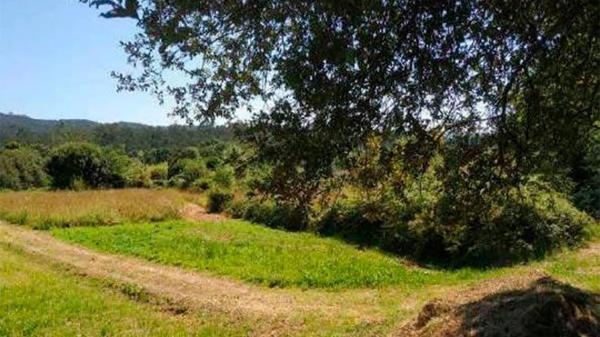 Terreno en camino Lugar Rias s/n None
