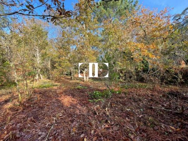 Terreno en o Serrallo