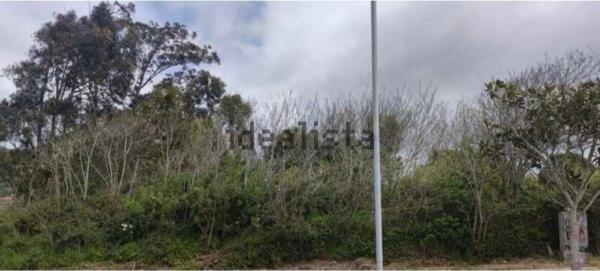 Terreno en avenida de Santo Domingo de Guzmán s/n