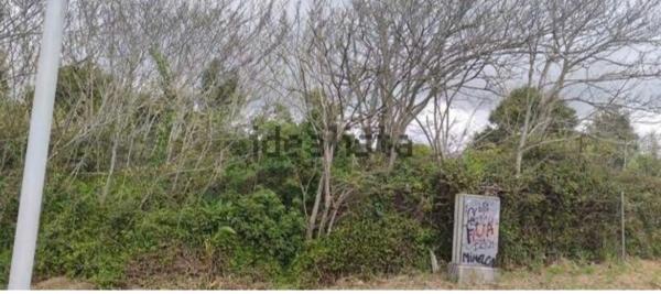 Terreno en avenida de Santo Domingo de Guzmán s/n