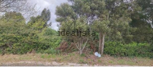 Terreno en avenida de Santo Domingo de Guzmán s/n