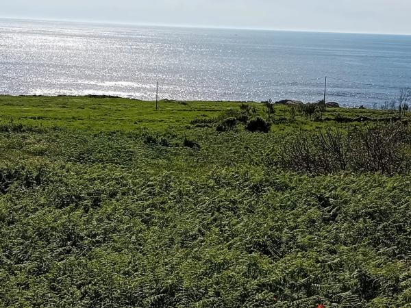 Terreno en Oia Lugar de Matovello