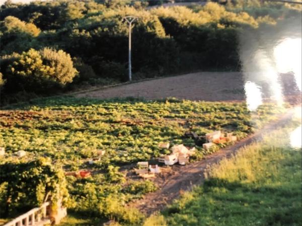 Terreno en Mondoñeda, 1
