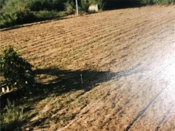 Terreno en Mondoñeda, 1