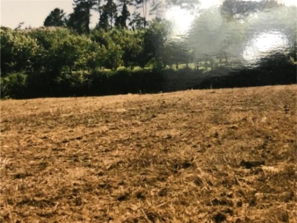 Terreno en Mondoñeda, 1