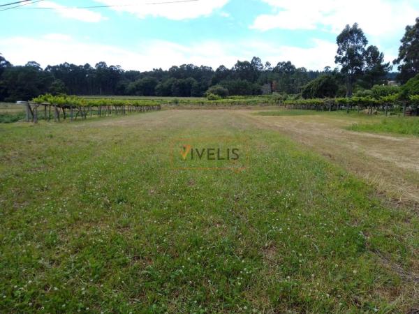 Terreno en Po-350, 19