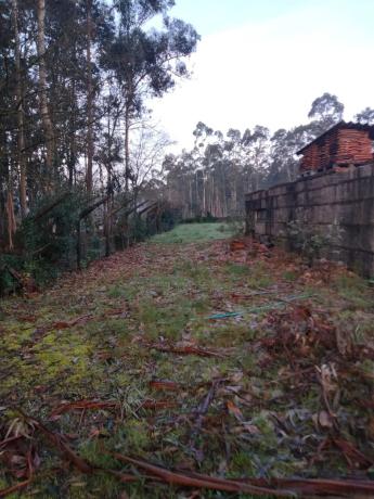 Terreno en Tomiño