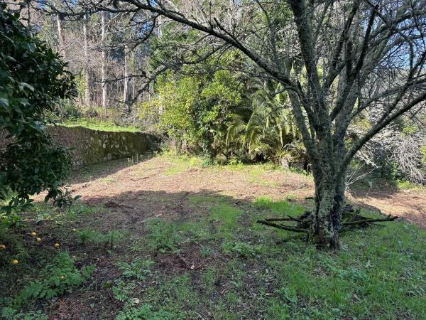 Terreno en a Cachada, km 25