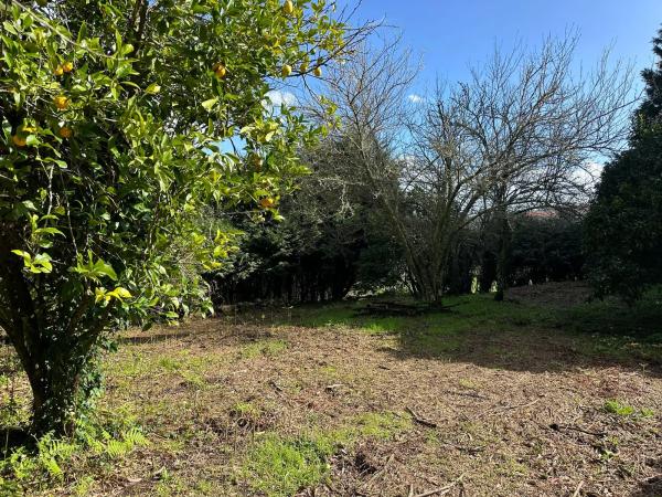 Terreno en a Cachada, km 25