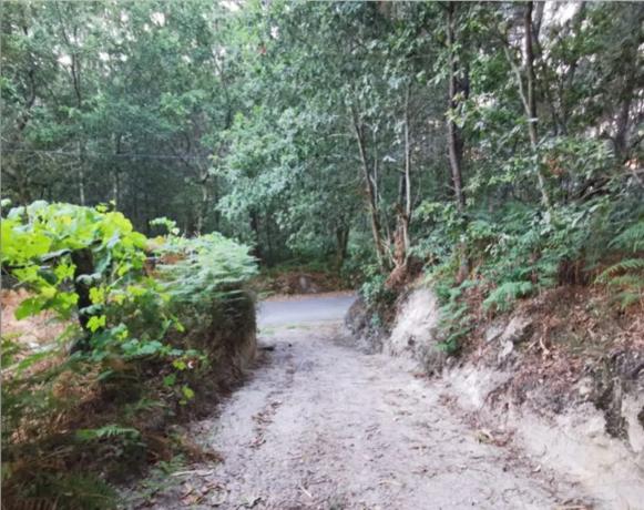 Terreno en Ribadelouro, Cotarel s/n