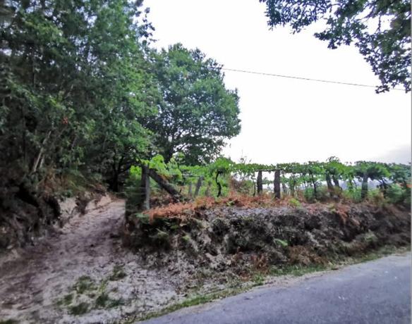Terreno en Ribadelouro, Cotarel s/n