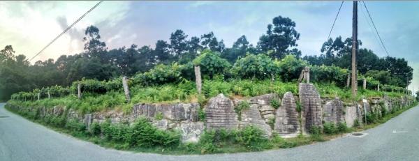 Terreno en Ribadelouro, Cotarel s/n