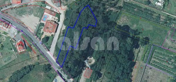 Terreno en calle da Feira