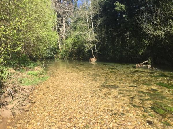 Terreno en camino das aceñas s/n