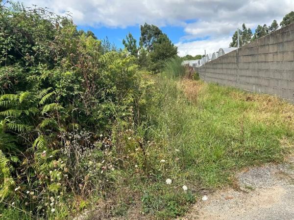 Terreno en calle Cruceiro, 13 a