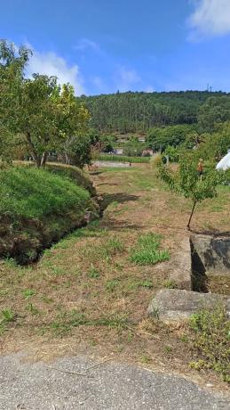Terreno en a Granxa, 15 polgonoparcela