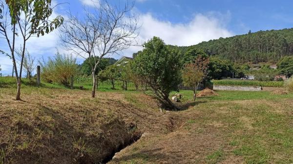Terreno en a Granxa, 15 polgonoparcela