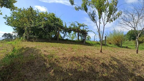 Terreno en a Granxa, 15 polgonoparcela