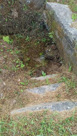 Terreno en a Granxa, 15 polgonoparcela