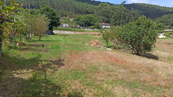 Terreno en a Granxa, 15 polgonoparcela