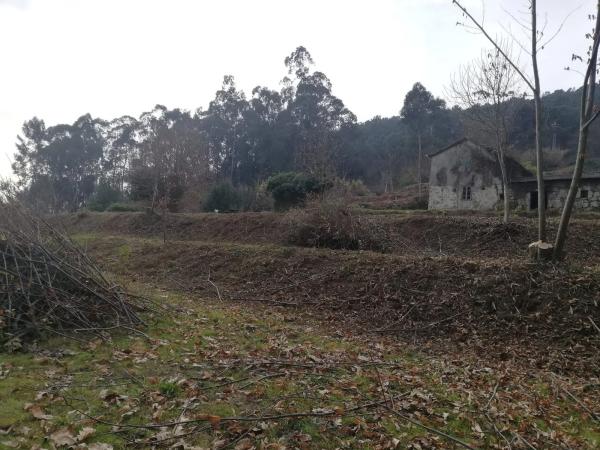 Terreno en calle Agranxa, 13