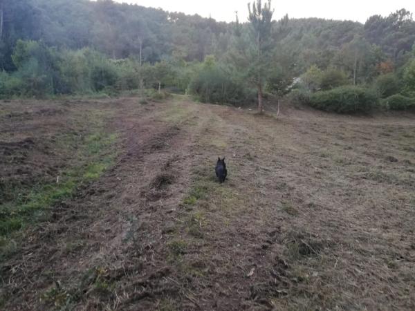 Terreno en calle Agranxa, 13