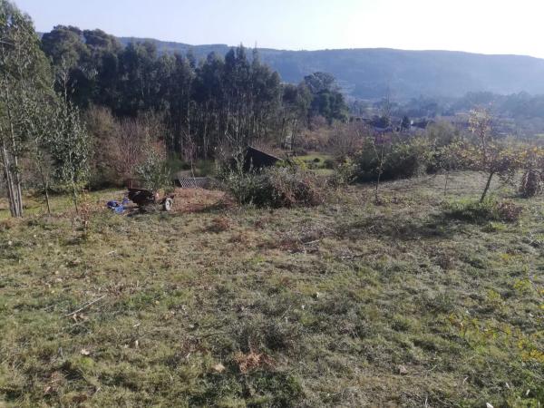 Terreno en calle Agranxa, 13