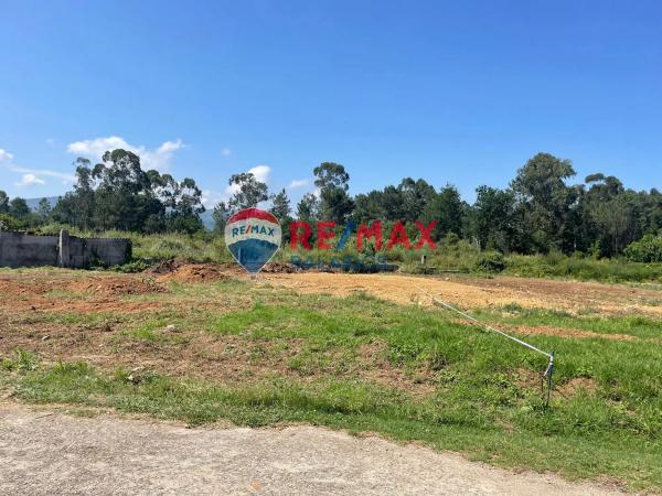 Terreno en Lugar Carregal de Abaixo