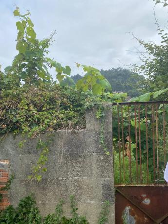 Terreno en calle do Castelo s/n