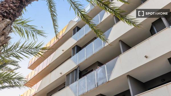 Apartamento de 3 dormitorios en alquiler en Torrevieja