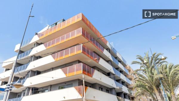 Apartamento de 3 dormitorios en alquiler en Torrevieja