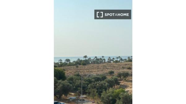 Habitación en piso compartido de 1 dormitorio en alquiler en Alicante