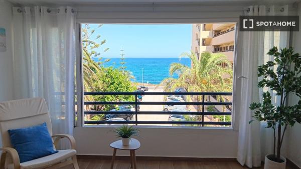 Estudio en alquiler en Torrevieja