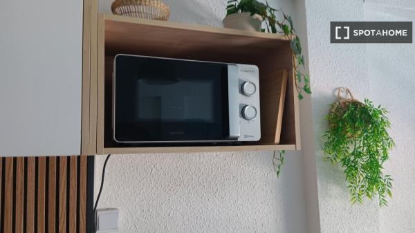 Estudio en alquiler en Torrevieja